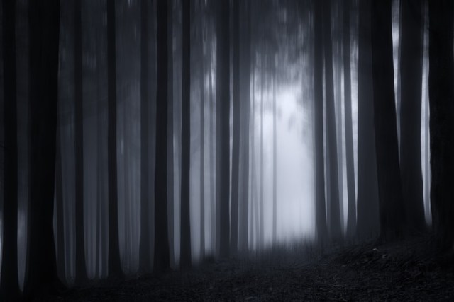 Svítání II. Svítání II.